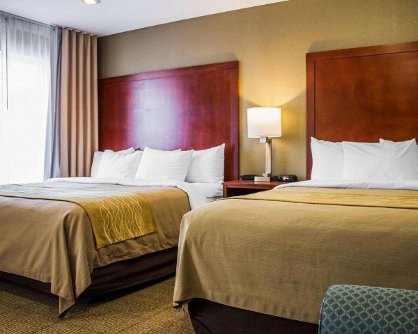 Comfort Inn Guilford near I-95 image 15